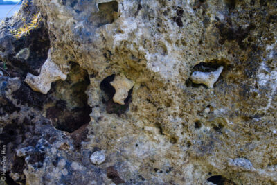 Verkarstung im Kalkstein/Dolomit Verkarstung im Kalkstein/Dolomit